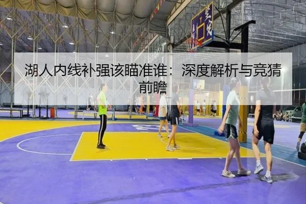 湖人内线补强该瞄准谁：深度解析与竞猜前瞻
